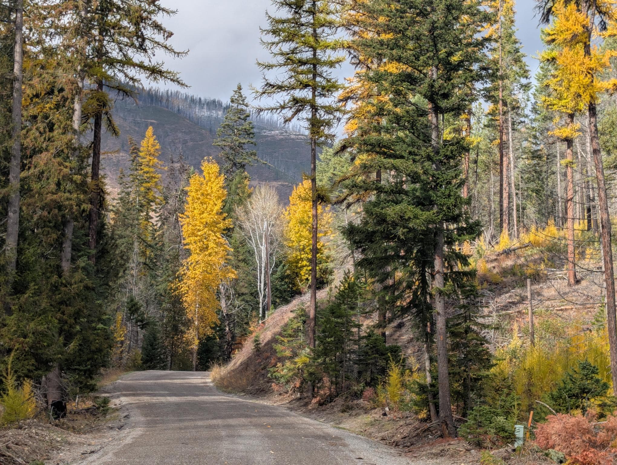 Northwest Montana — Libby area